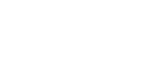 Page Carotte